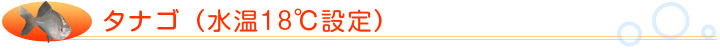 タナゴの水槽(水温18℃設定)