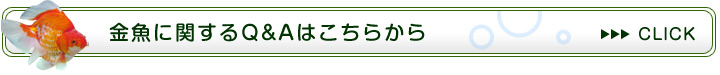 金魚に関するFAQ
