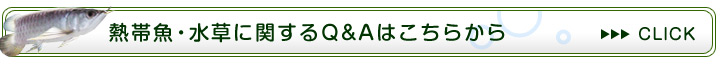 水草に関するFAQ