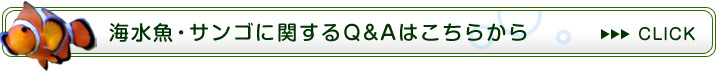 サンゴに関するFAQ