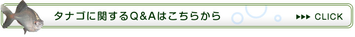 タナゴに関するFAQ